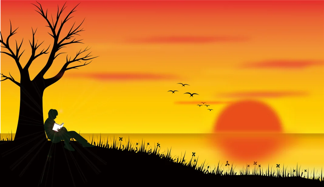 Maximise Visibility: Choosing the Right Estate Agent Sign