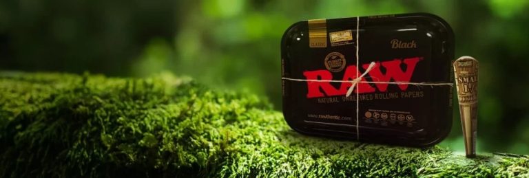 Discovering cbd in Riga: practical insights for shoppers