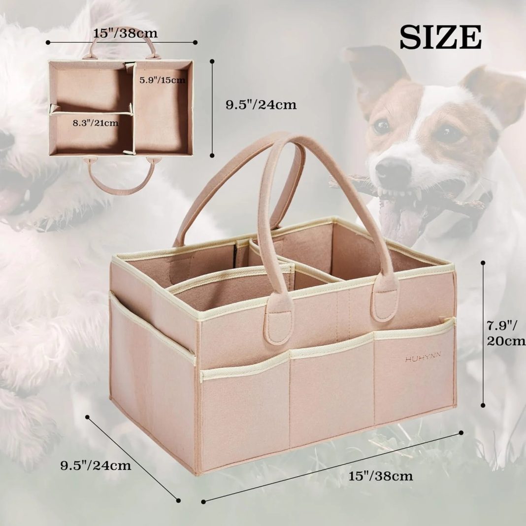 Smart picks for happier pets: focused gear and toys