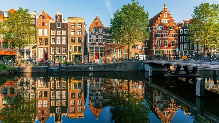 BCB Limousineservices: Premium rides with Dutch flair