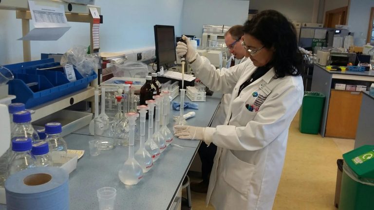 Added mineral Chemical Suppliers and the practical edge for safety and quality