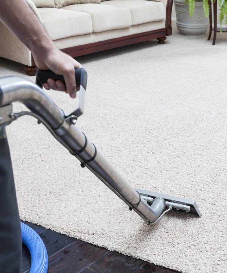 Hard-wearing realism: finding the best carpet cleaner that actually works