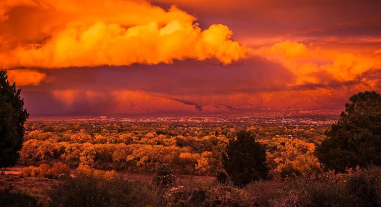 Hidden gems and smart moves in Albuquerque real estate