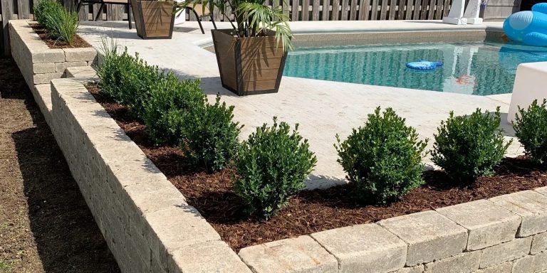 Transforming Cambridge Outdoors: A Local Landscape Mastery