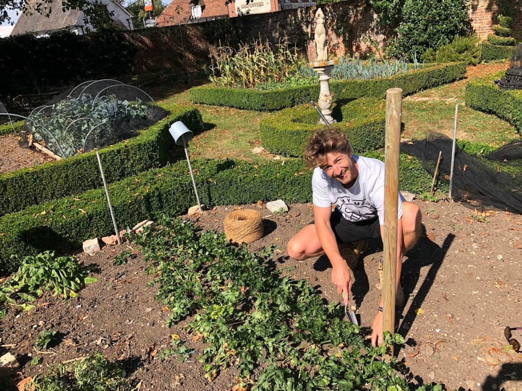 A Practical Guide from a Local Gardener in Hove