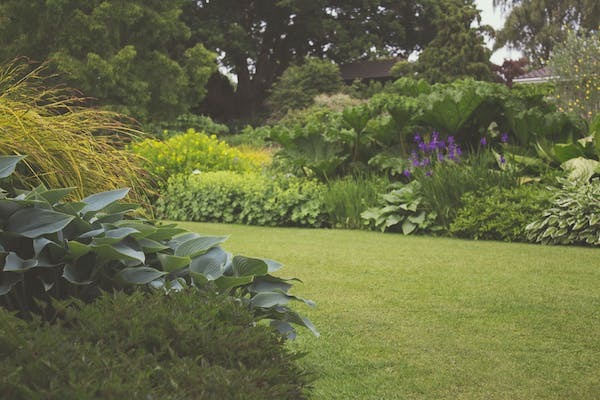 Transform Your Outdoor Space with Expert Gardening Services