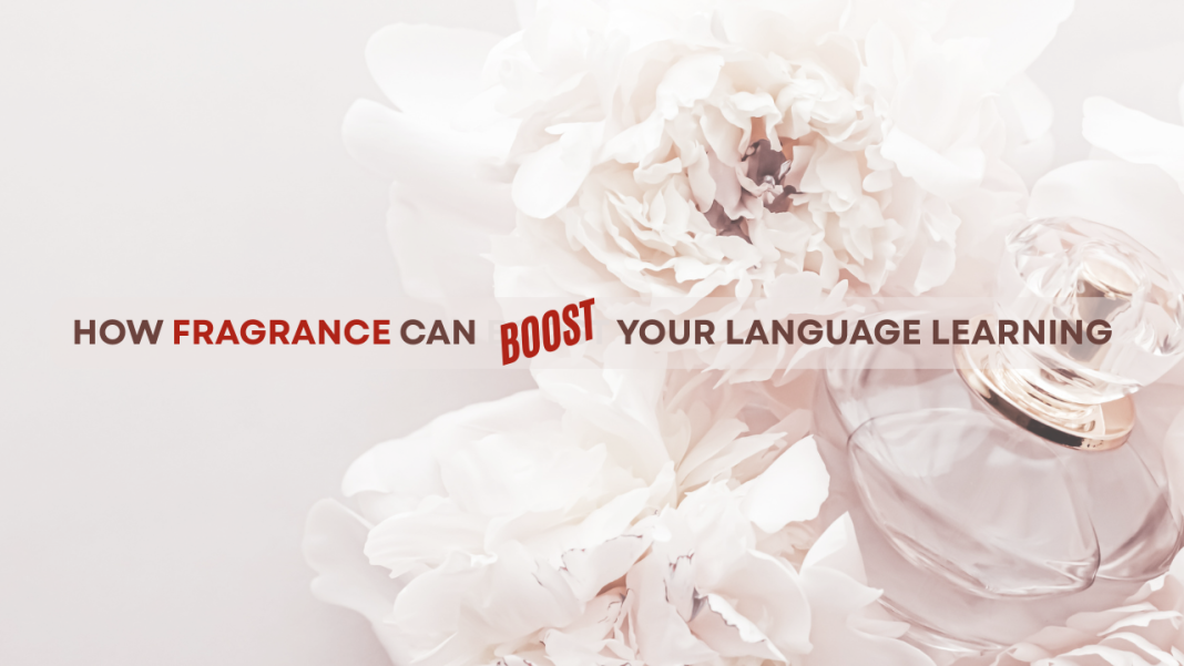DSE French and DSE English Writing: Practical Guide