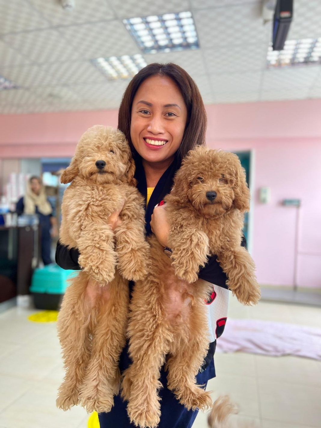 A trusted partner for every pet in the region