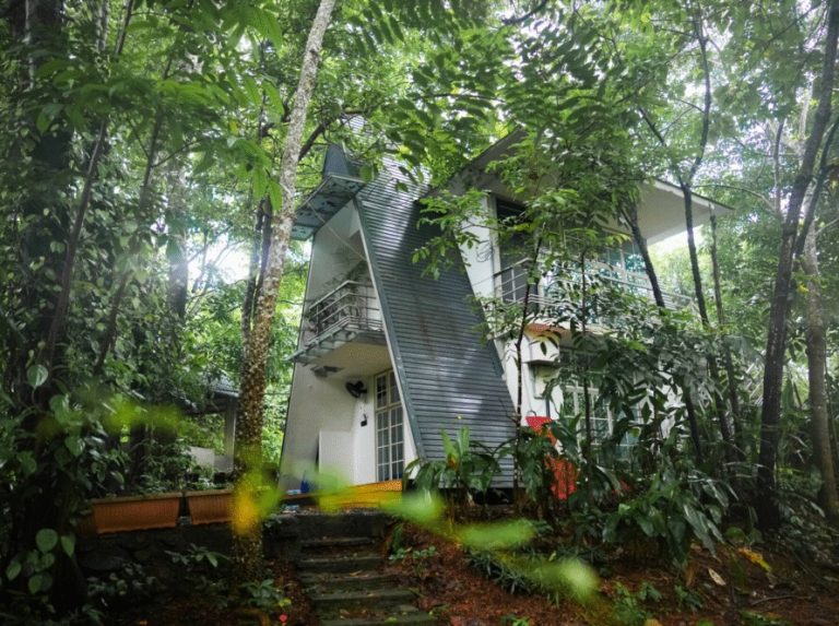 Best villa near Athirappilly: serene luxury awaits