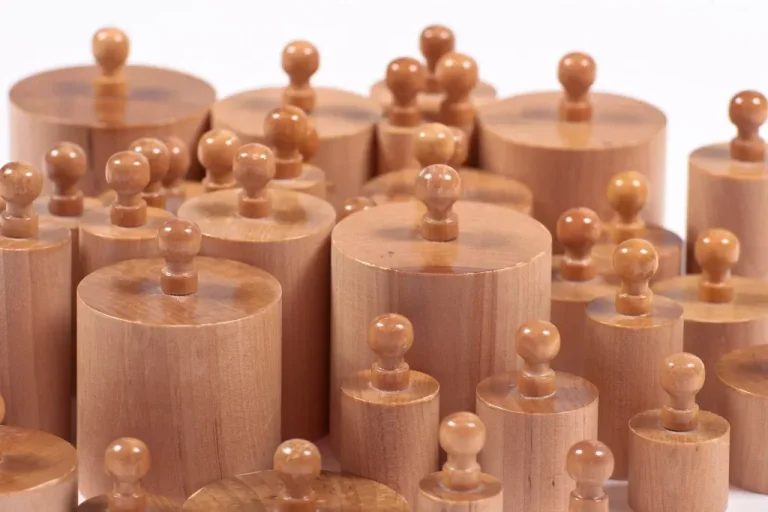 A Practical Guide to Montessori Tools for Early Learning