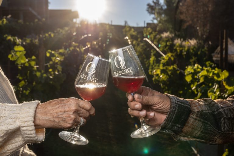 Escape to Serenity: Discover Valle de Guadalupe Hotels and Spa Experiences