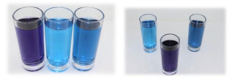 Unlock Natural Hues: Exploring Spirulina-Driven Color Solutions