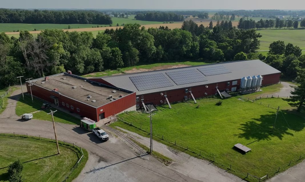 Smart Guide to Ethical Poultry Rarming for Healthy, Humane Yields