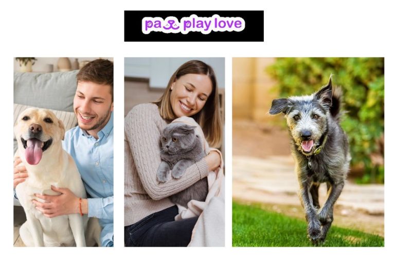 Top Free Dating Websites for Dogs to Find Your Furry Friend a Perfect Match