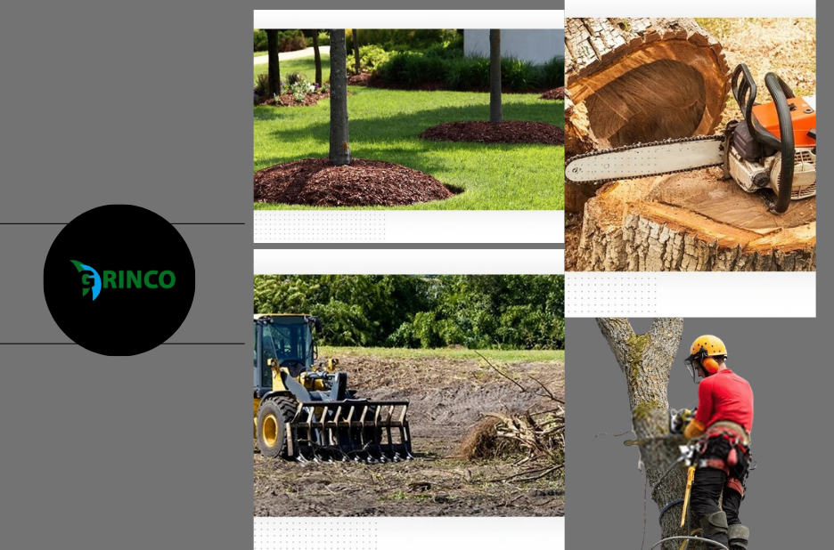 Expert Tree Removal Point Cook Services for Residential and Commercial Properties