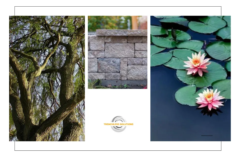 Reliable Sewer Repair Pleasant Hill Services for Fast and Lasting Solutions