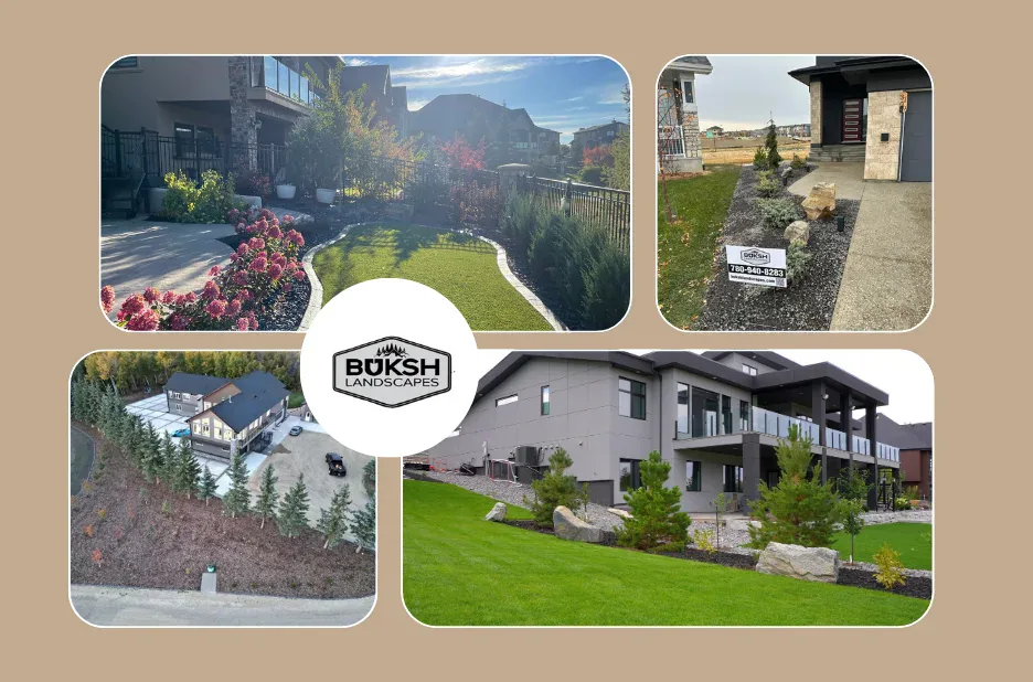 Top Commercial Landscaping Edmonton Services to Enhance Your Business Curb Appeal