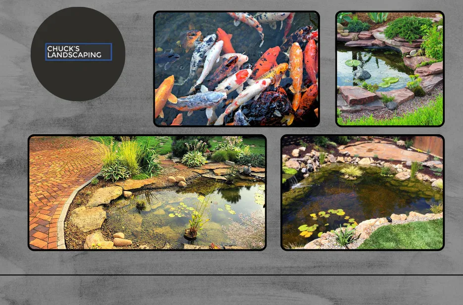 Top Drought Tolerant Landscaping LA Tips for Eco-Friendly and Water-Saving Gardens