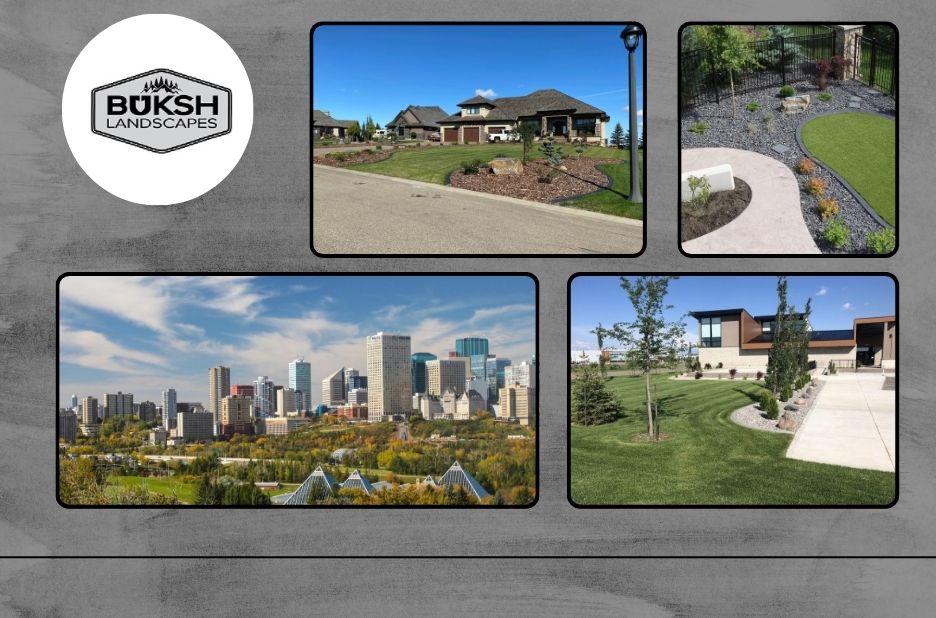 Reliable Commercial Snow Removal Edmonton Services for Safe and Accessible Properties This Winter