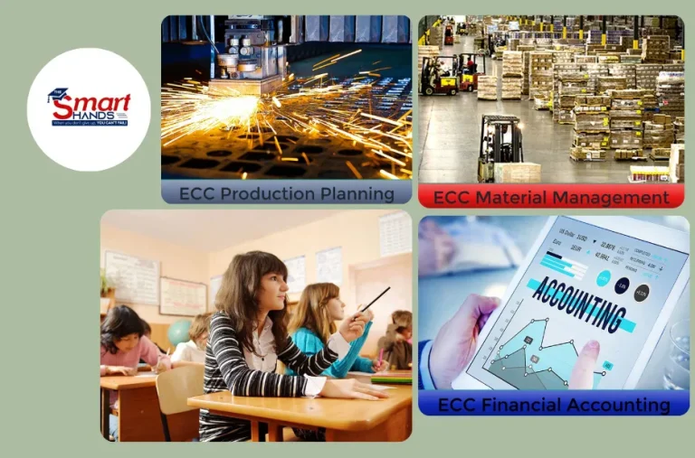 S4 Hana Fi Certification Guide – Expert Tips for Exam Success and Career Advancement