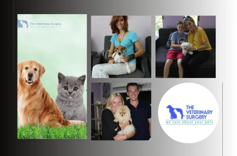 Expert Vet Center Qatar Services for Comprehensive Pet Care and Advanced Treatments