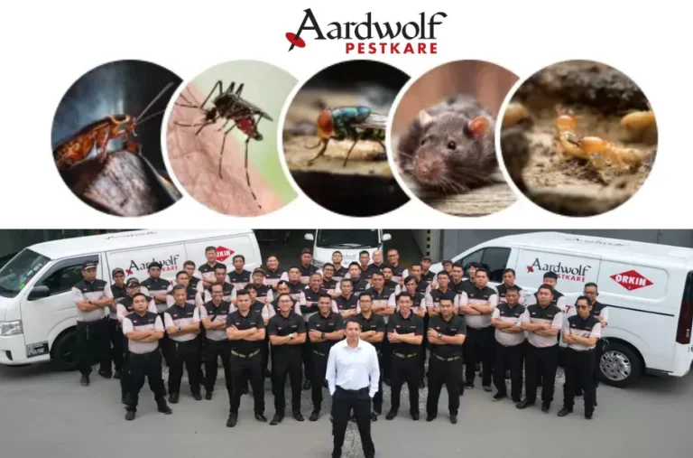 Complete Guide to Pest Control Singapore HDB Price for Affordable and Effective Services