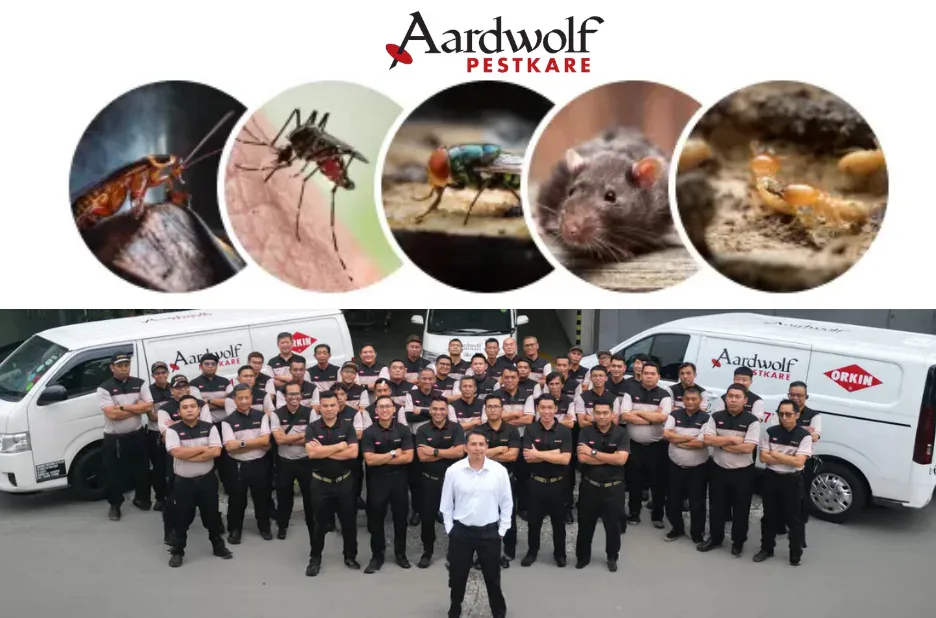 Professional Mosquito Fogging Services for Effective Outdoor Pest Control and Protection