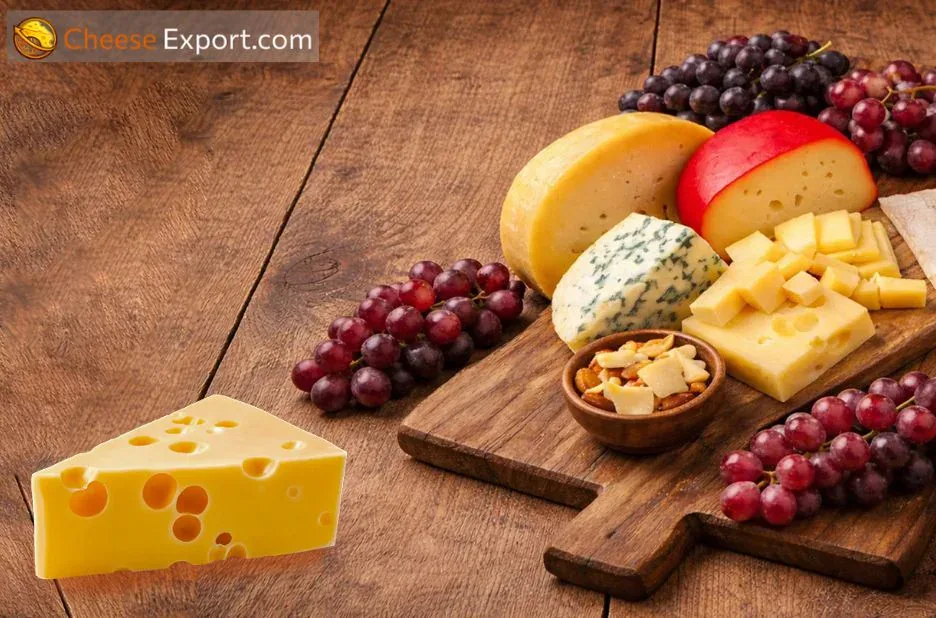 Top Industrial Cheese Supplier for Bulk Quality Cheese and Reliable Export Services