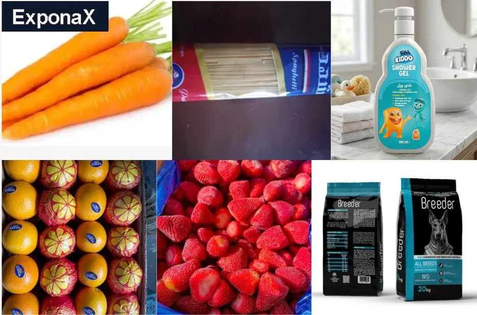 Top Frozen Mixed Vegetables Supplier for Wholesale and Export Markets | Exponax.com