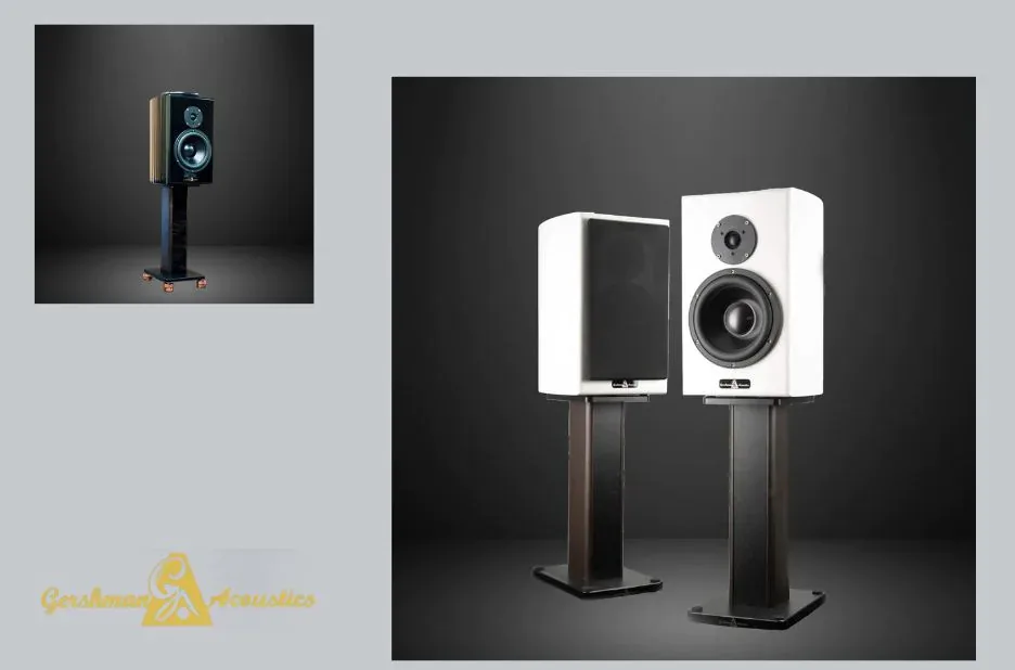 Buy Acoustic Studio Speakers for Superior Sound Quality and Craftsmanship