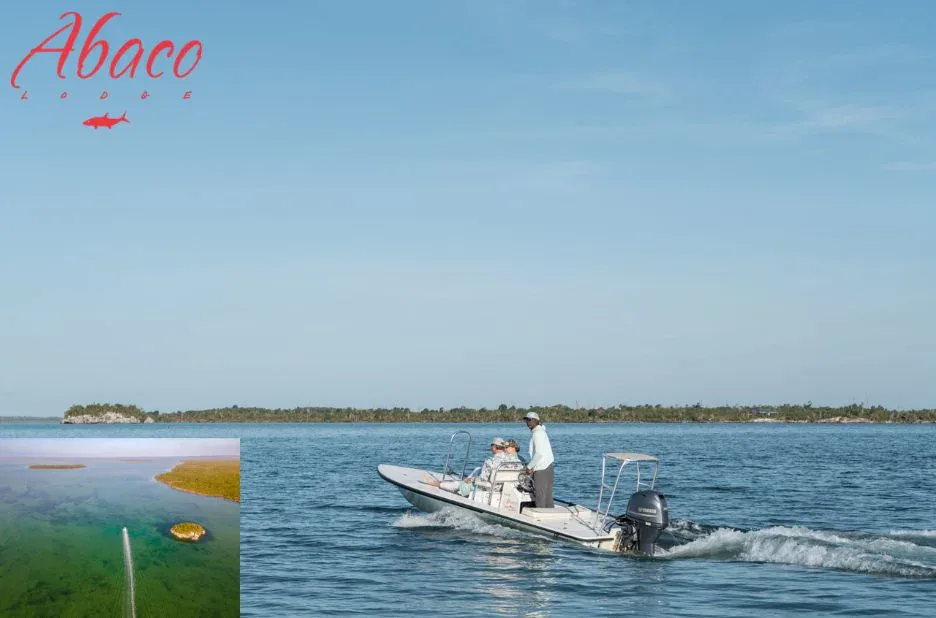 Discover the Best Bonefishing in the Bahamas for Unforgettable Fishing Adventures