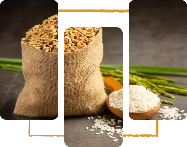 IR64 Rice CIF Price Nigeria – Affordable Premium Rice Supply & Delivery