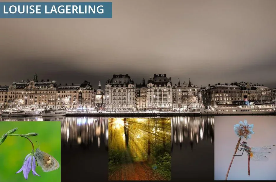 Effektiv psykodynamisk terapi i Östermalm – Professionell hjälp för ångest och relationsproblem