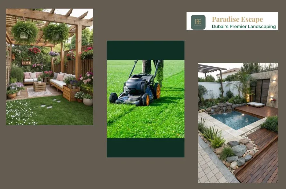 Professional Lawn Maintenance Services for Lush and Healthy Outdoor Spaces