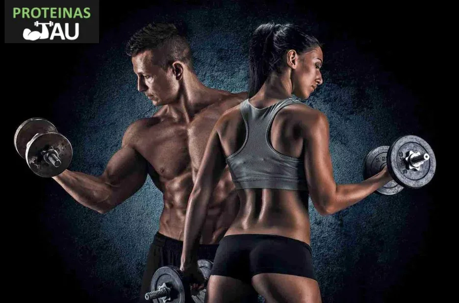 Kreatinas – efektyvus sporto papildas jėgai ir raumenų atsistatymui