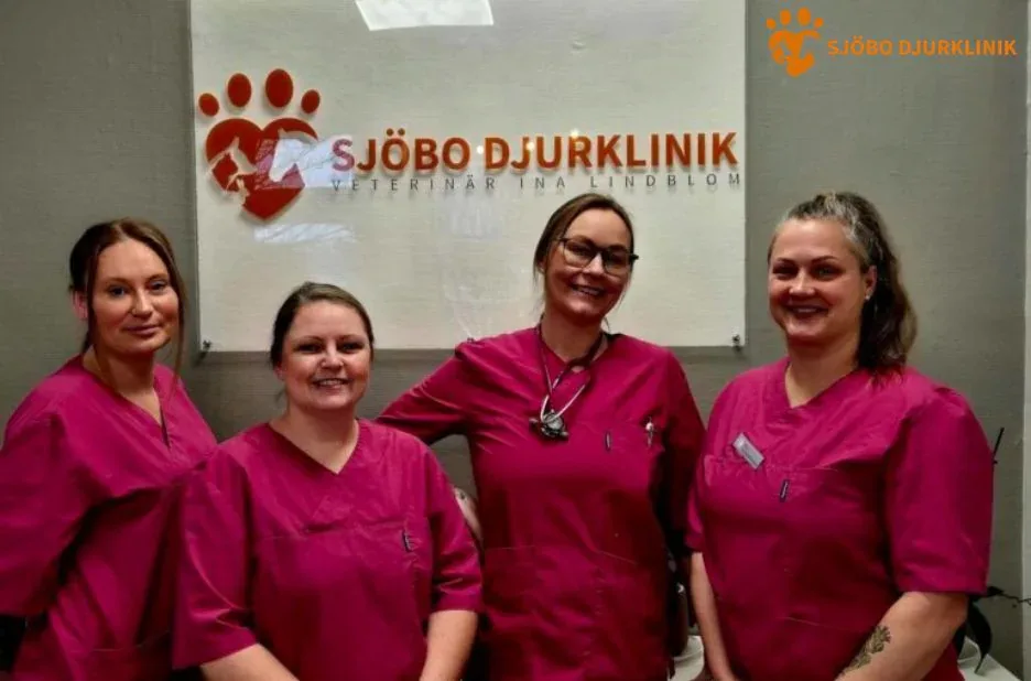 Avliva hund i Ystad – Trygg och skonsam avlivning hos Sjobodjurklinik.se