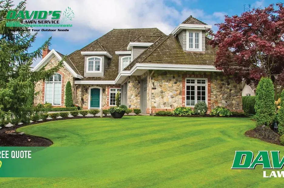 Top Landscaping Corcoran MN Services for Beautiful Lawns and Expert Maintenance