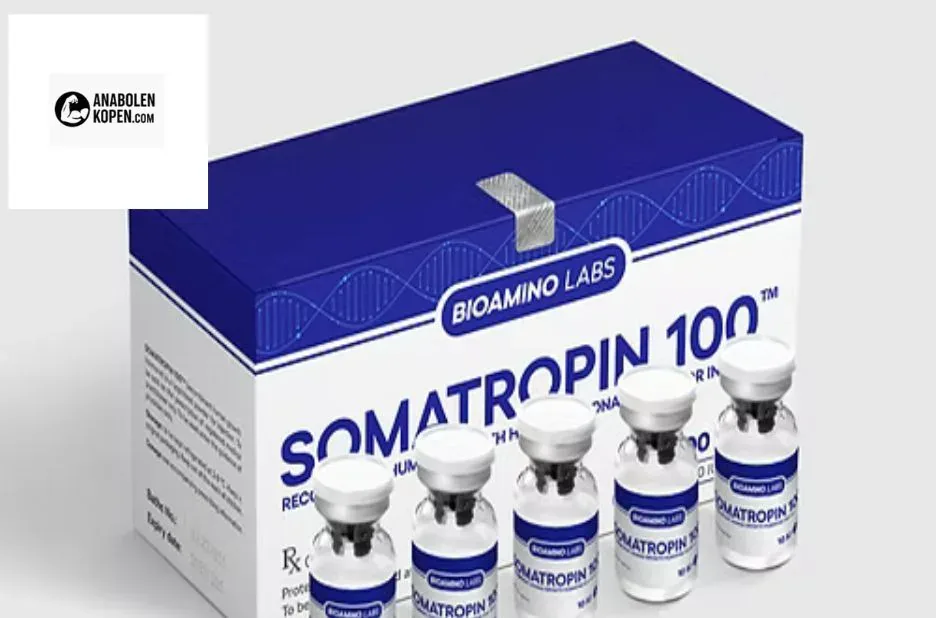 Dianabol kopen – Originele en betrouwbare anabole steroïden voor maximale spiergroei