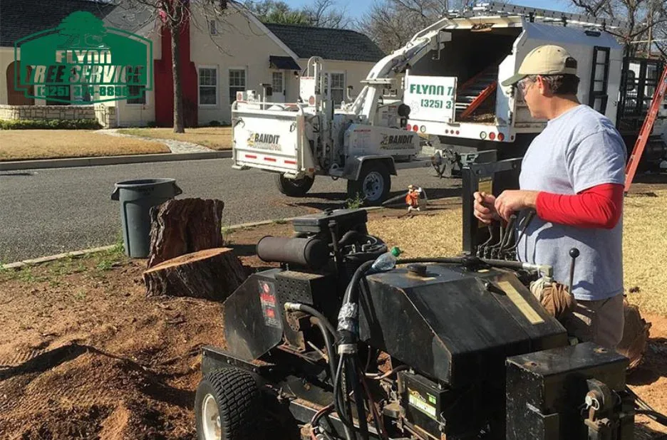 Expert Tree Disease Treatment Solutions for Healthy and Thriving Trees