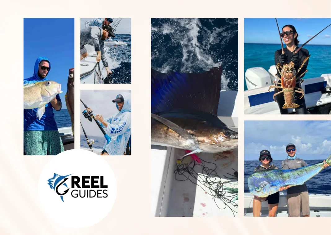 Top Best Fishing Charters Trips for Unforgettable Angling Adventures