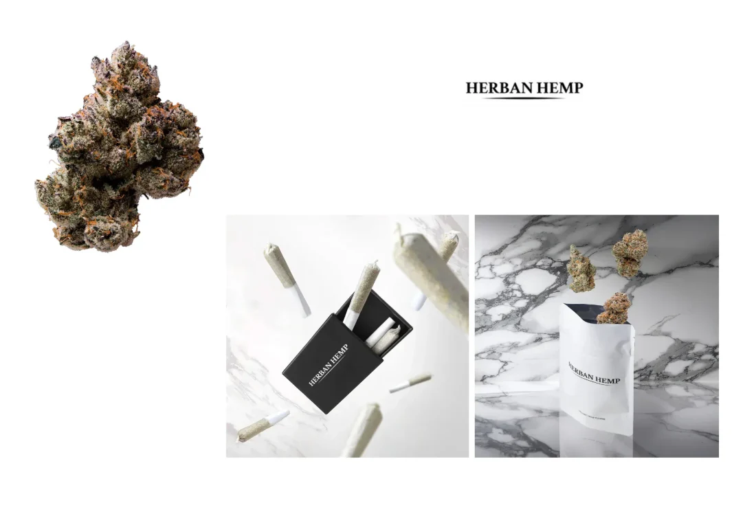 Find Quality Hemp Near Me – Lab-Tested Products with Fast Delivery