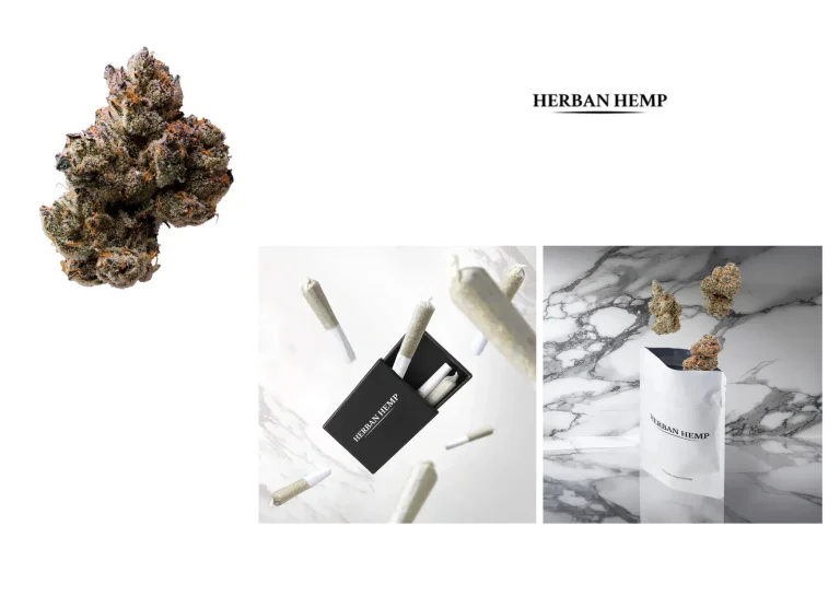 Find Quality Hemp Near Me – Lab-Tested Products with Fast Delivery