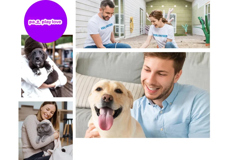 Find Puppy Play Dates Near Me for Fun and Socialization with Your Furry Friend