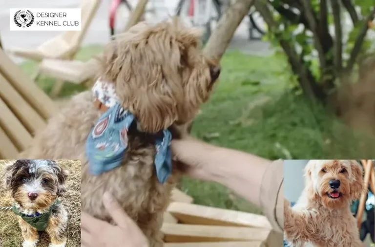 How to Obtain Authentic Papers on My Dog for Reliable Breed Certification
