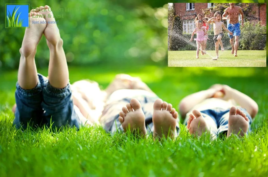 Expert Tips for Professional Lawn Aeration in San Antonio to Achieve Healthier Turf