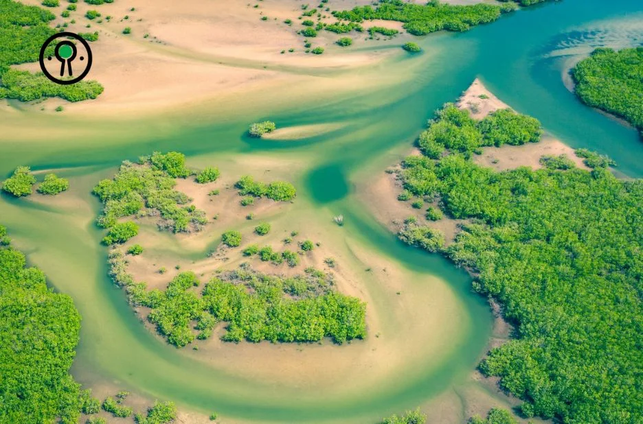 Les meilleures plages au Sénégal pour une escapade paradisiaque et authentique