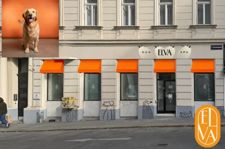 Hundesalon Termin Wien buchen – Professionelle Pflege für Ihren Hund in Wien