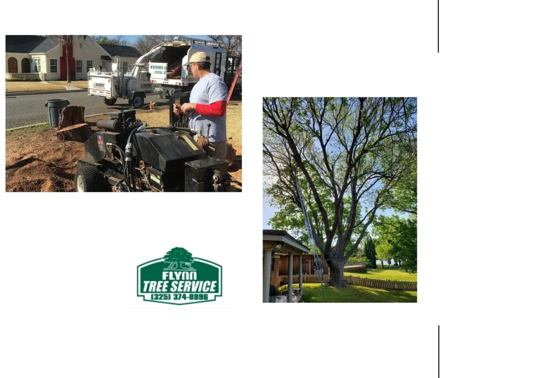Effective Deep Root Fertilization Techniques for Stronger, Healthier Trees
