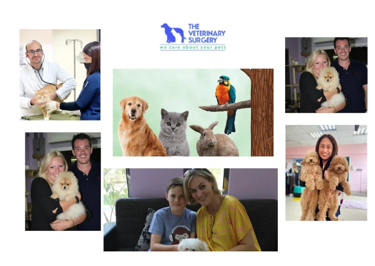 Trusted Veterinary Clinic in Qatar Offering Expert Pet Care and Compassionate Services