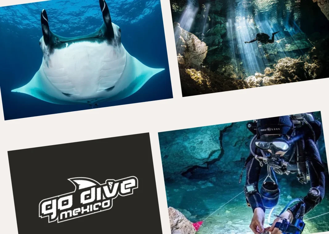 Ultimate Guide to Cenote Diving: Explore the Best Cenotes for an Unforgettable Underwater Adventure